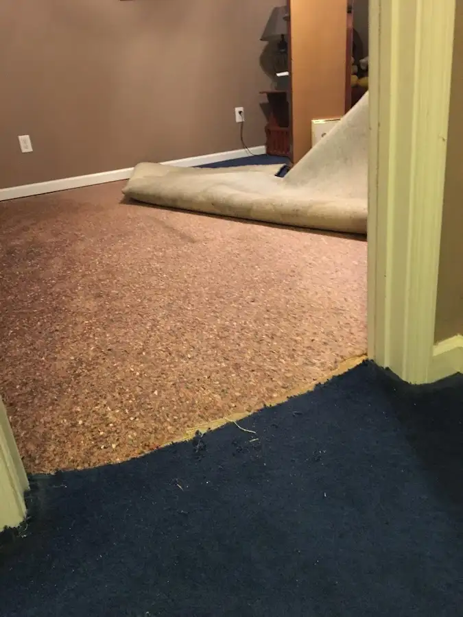 Carpet pad removal revealing water damage during Drying & Dehumidification in Harrisonburg