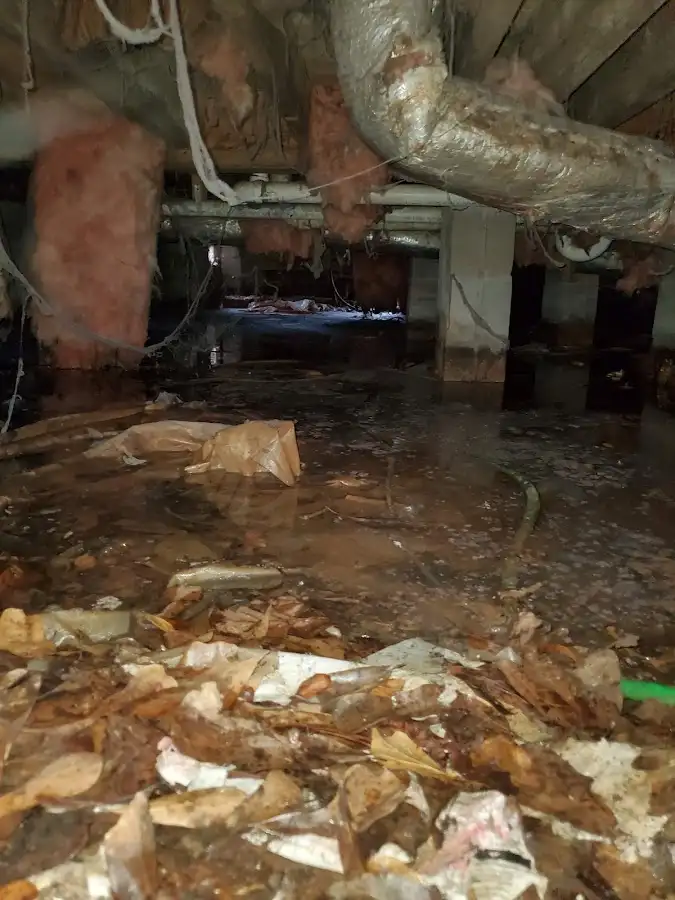 Crawl space flood assessment for Leak Detection & Repair in Harrisonburg