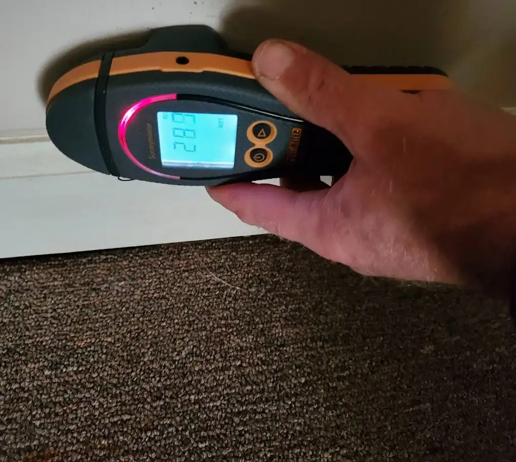 Moisture detection at baseboard during Mold Inspection & Testing in Harrisonburg